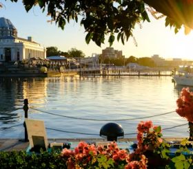 Sunset view of a waterfront harbour with flowers in the foreground and buildings along the shoreline